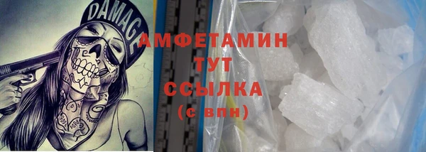 стаф Медногорск
