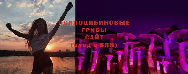 стаф Медногорск