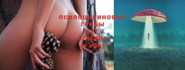 шишки Мегион