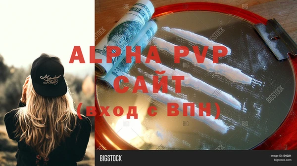 стаф Медногорск
