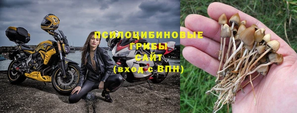 стаф Медногорск
