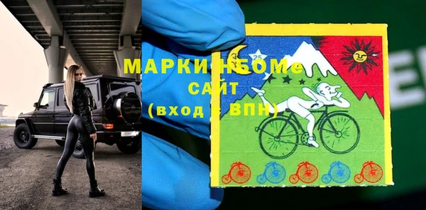шишки Мегион