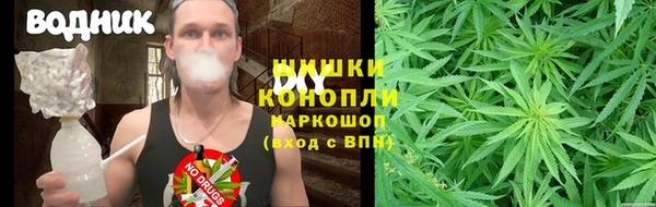 стаф Медногорск