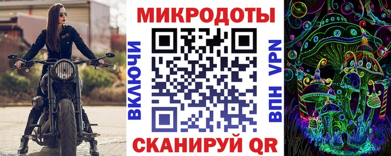 маркетплейс как зайти  что такое   Гвардейск  Галлюциногенные грибы Psilocybine cubensis 