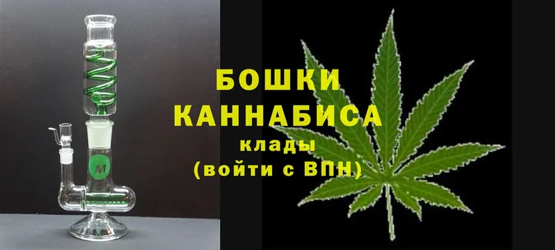 Каннабис планчик  как найти закладки  Гвардейск 